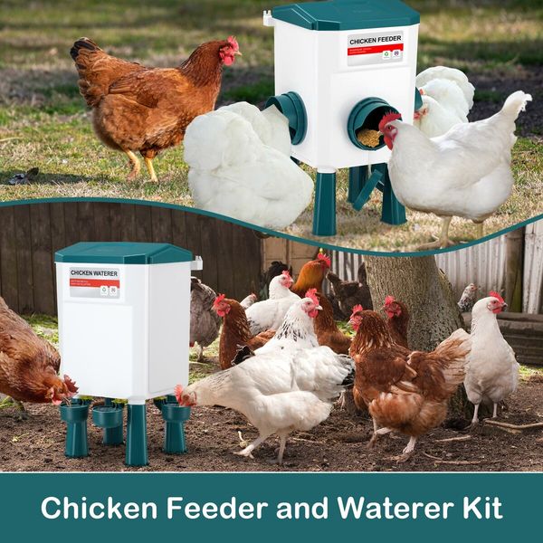 Chicken Water Feeder Treadle Poultry Feeding 12KG Large Capacity 11L Waterer Set Automatic Food Dispense Rat Bird Proof