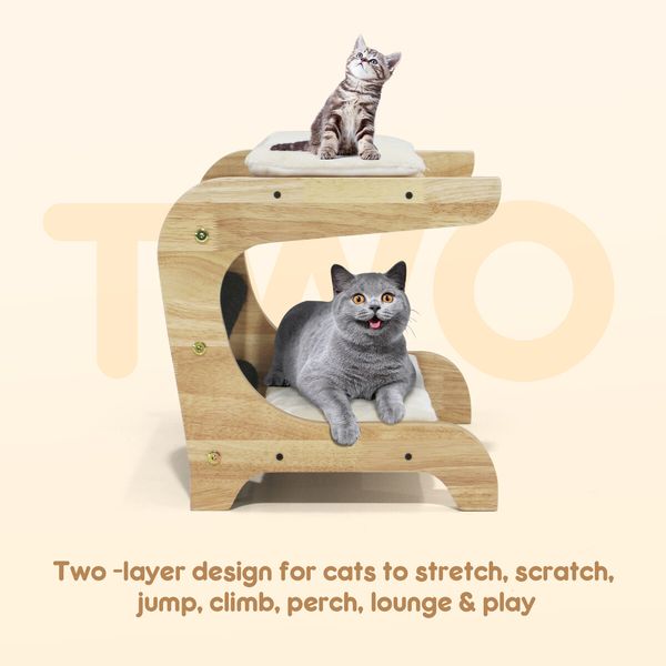 Cat Scratching Post Toy Bed Kitten Scratcher Couch Stool Scratchboard Lounger Pet Wooden Furniture Sofa Chair Play Gym Tower Tree Pad Cushion