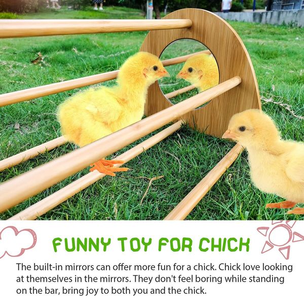 Bamboo Chicken Perch with Mirror,Strong Roosting Bar for coop and brooder,Training Perch for Large Bird,Hens,Parrots,Macaw,Easy to Assemble and Clean,Fun Toys for Chicken