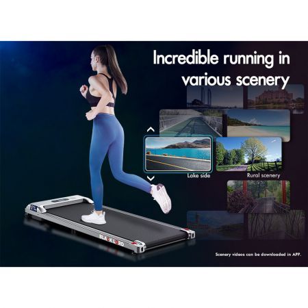 BLACK LORD Treadmill Electric Walking Pad Home Office Gym Fitness Remote Control Silver