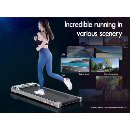 BLACK LORD Treadmill Electric Walking Pad Home Office Gym Fitness Remote Control Silver