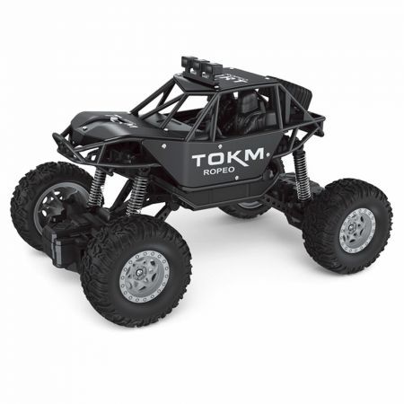 Alloy 1/18 2WD 4CH Off-Road RC Car Vehicle Models Children ToyBlack