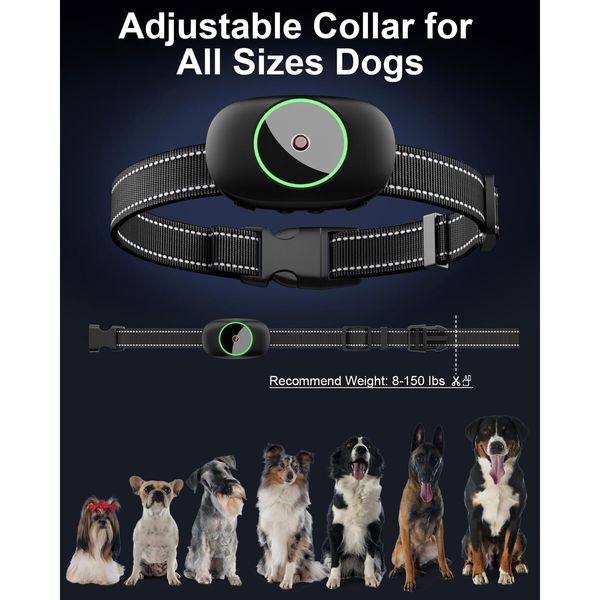 Dog Shock Collar,3 Modes Electric Dog Training Collar with Remote Waterproof,Rechargeable E-Collar for Small Medium Large Dogs (5-120 LBS)