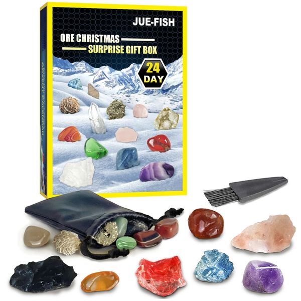 Rock Collection Advent Calendar 2023 with 24 Gemstones, Complete Gem and Fossil Collection Christmas Countdown Calendar