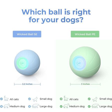 Intelligent Toy Ball with 3 Interactive Modes for Dog Puppy Small Medium Dogs and Cats