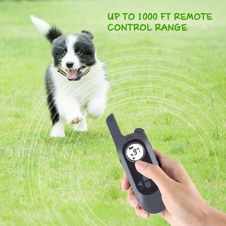 Dog Training Collar with Voice Commands, Beep,Vibration and Shock Modes for Dogs