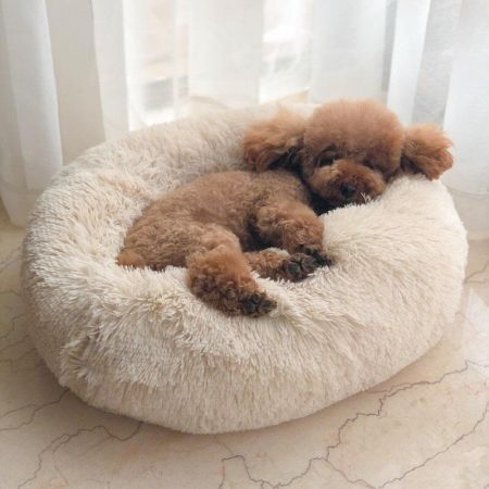 Multicolor Cat/Dog Pet Bed Super Soft Warm Round Depth Super Cute Kennel