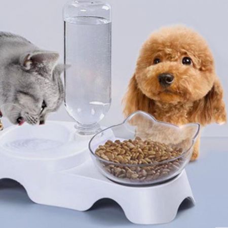 15 Degree Raised Pet Bowls Cats Food Water Feeder Plastic Tilted Elevated Bowl for Pets Care