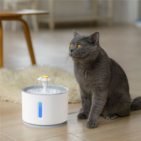 Cat Pet Water Fountain Dog Drinking Bowl Pet USB Automatic Water Dispenser Super Quiet Drinker Auto Feeder