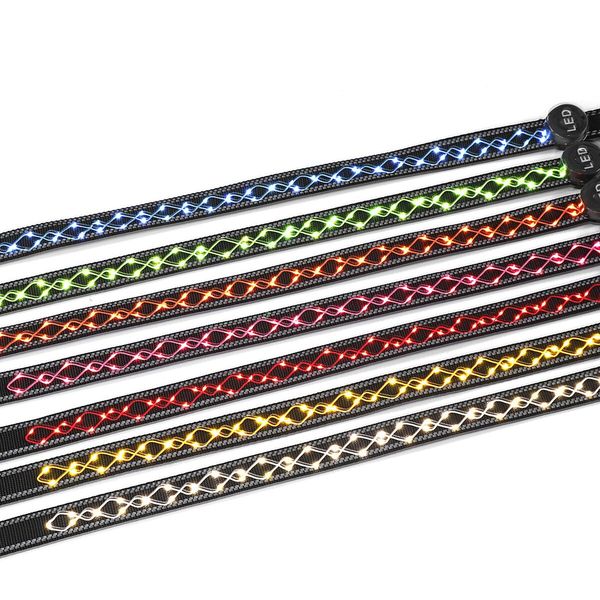 Dog LED Leash Pet Supplies