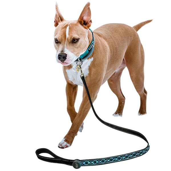 Dog LED Leash Pet Supplies