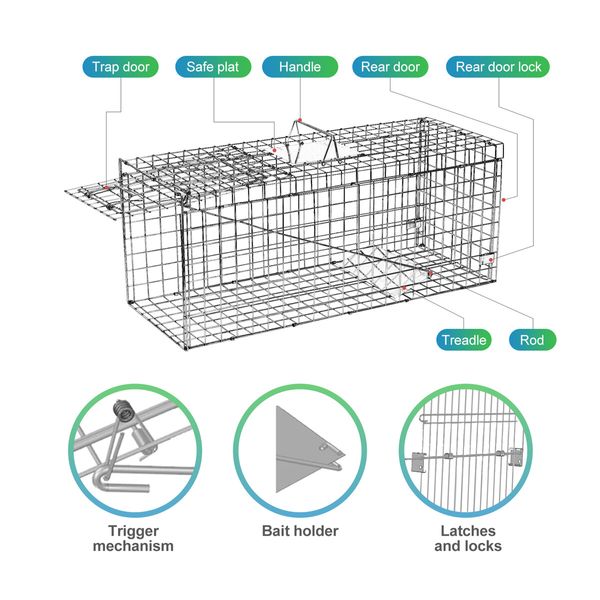 Possum Trap Animal Humane Bird Rabbit Mouse Cat Cage Live Safe Catch Racoon Groundhog Armadillo Dog Hare