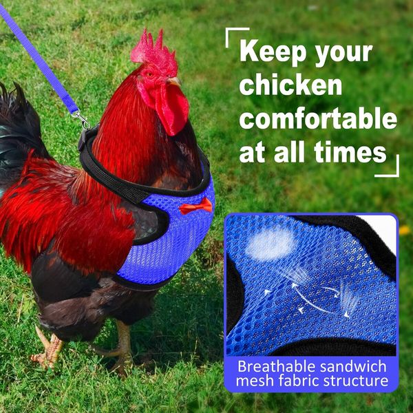 Chicken Harness with Leash,Upgraded Double Adjustment Chicken Harness and Leash Set for Hens,Duck,Goose,Small Pet (Blue,L)