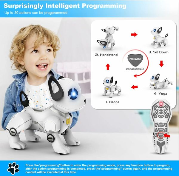 Remote Control Robot Dog Toy, RC Dog Programmable Smart Interactive Robotic Pets for Boys Girls Toy Age 3+