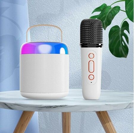 Karaoke Machines Portable Bluetooth Speaker Home Wireless Karaoke Sound Microphone White