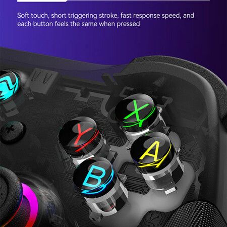 Wireless Game Controller for PC/iOS/Android/Switch, Remote Gamepad with Joystick Adjustable Turbo Vibration Supports Multi-Platform&App-