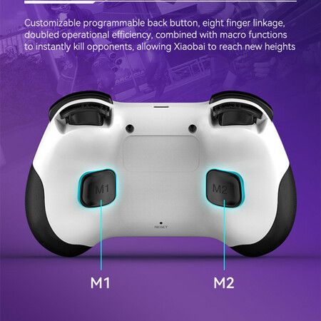 Wireless Game Controller for PC/iOS/Android/Switch, Remote Gamepad with Joystick Adjustable Turbo Vibration Supports Multi-Platform&App- White