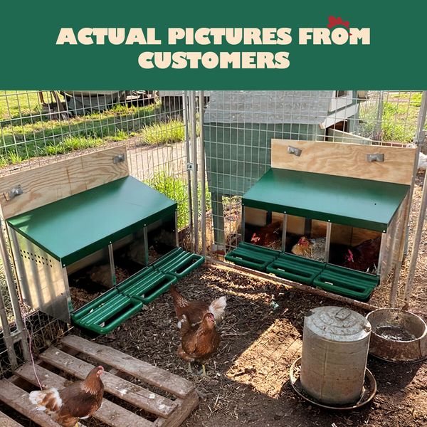 3 Hole Chicken Nesting Box Hen Chook Roll Away Laying Nest Boxes Brooder Coop Poultry Egg Roost Perch Galvanised Steel Plastic with Vents Lid