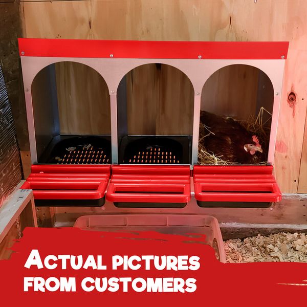 3 Hole Chicken Nesting Box Roll Away Hen Chook Laying Boxes Poultry Nest Brooder Coop Egg Roost Perch Galvanised Steel Plastic with Stand