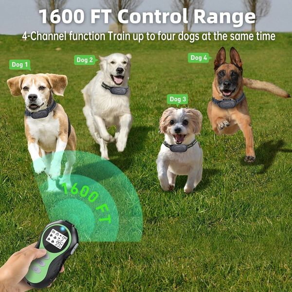 Dog Shock Collar for 2 Dogs, Remote Control Dog Training Collar for Large, Medium and Small Dogs, Waterproof Rechargeable Electronic Collar with 4 Modes (Green)