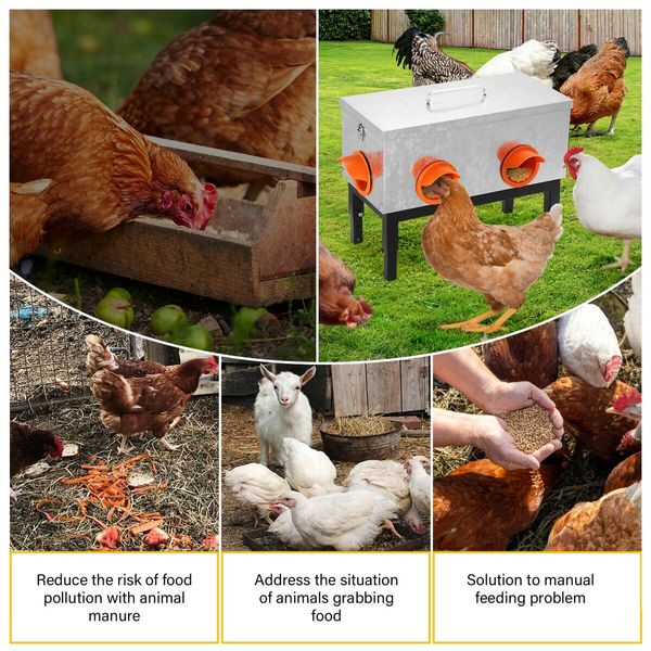 Auto Chicken Feeder 13L Automatic Coop Chook Hen Poultry Food Dispenser 4 Feeding Port Gravity Fed Waterproof Galvanized Steel Adjustable Stand