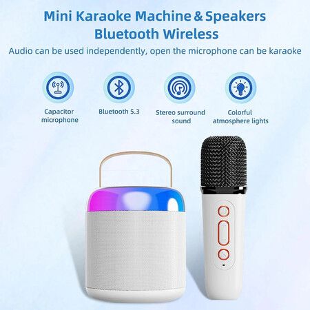 Kids family Portable Karaoke Bluetooth Speaker with Microphone Function Wireless Loudspeaker Mini Portable Karaoke Box with Dual Microphone Color Pink