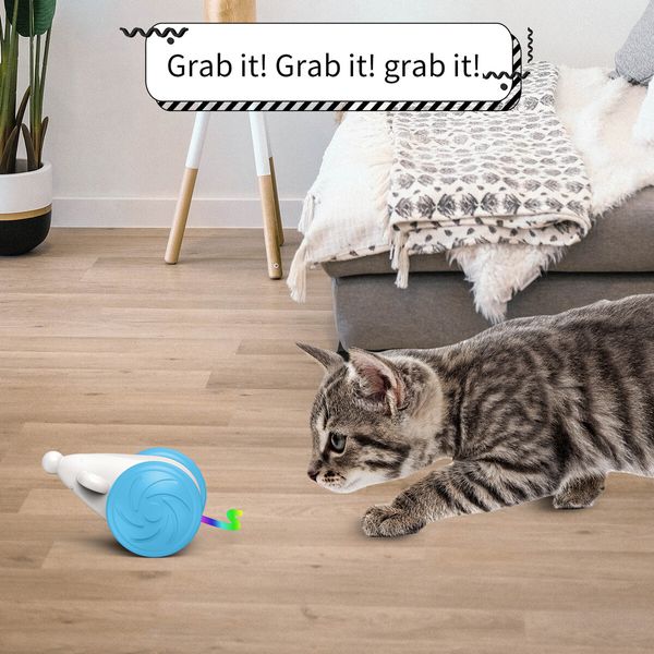 Interactive Cat Toy for Indoor Cats, Kitten Toys, Automatic Cat Toy with LED Lights