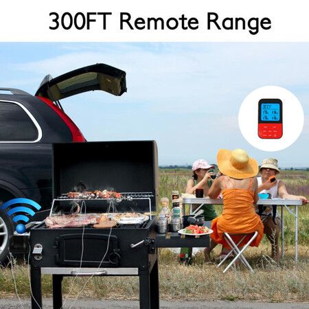 Dual 2 Probes Wireless BBQ Grill Meat Thermometer/Timer, Kitchen, Oven, BBQ, Grill, Meat Smoking, Oil Fry, Baking, Candy making, Brew Steeping