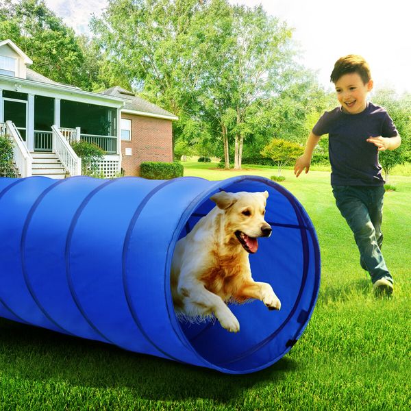 Dog Agility Equipment 5 Set Pet Pet Scene Puppy Training Kit Jump Hurdle Tunnel Poles Pause Box Hoop Obstacle