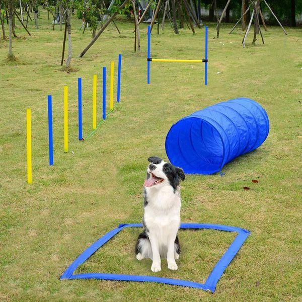 Dog Agility Equipment 5 Set Pet Pet Scene Puppy Training Kit Jump Hurdle Tunnel Poles Pause Box Hoop Obstacle