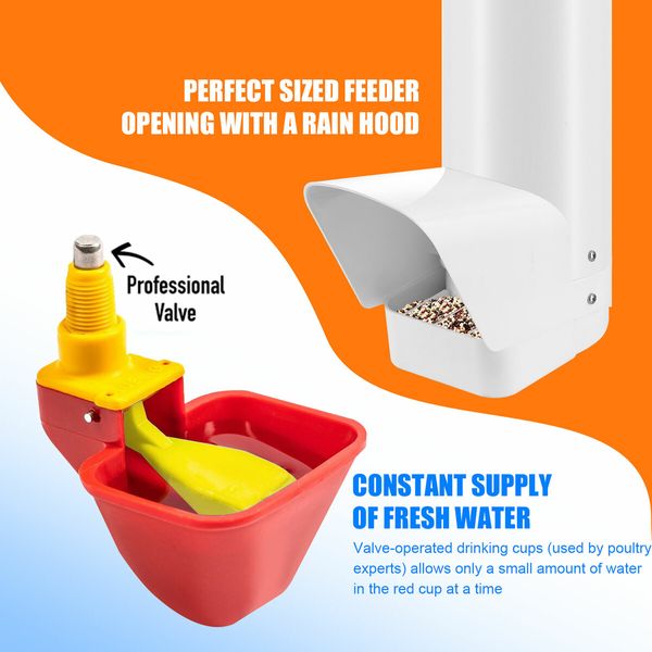 Chicken Bird Feeder Waterer Set Automatic Water Dispenser Poultry Coop 3KG Food 4L Drinker Kit Auto Aviary Chook Chick Hen Quail Drinking Cup