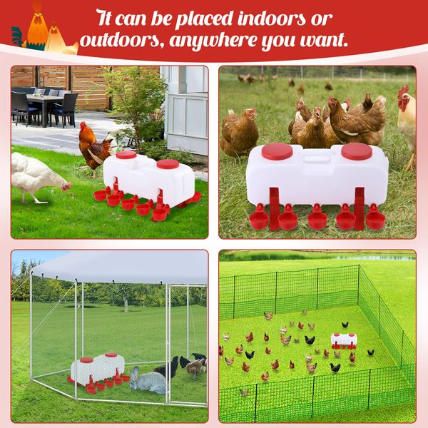 Chicken Bird Water Feeder Auto Chick Waterer Automatic Poultry Dispenser Drinker Hen Watering System Chook Gravity Fed 10L