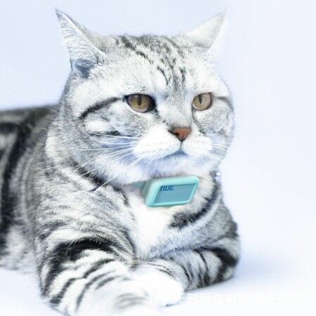 Safety Smart Tracker Locating GPS Location Collar Pet Locator For Cats And Dogs
