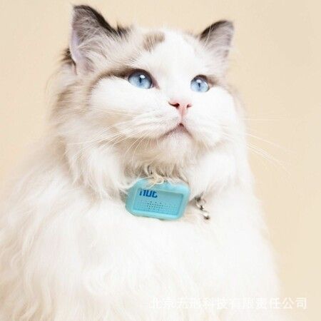 Safety Smart Tracker Locating GPS Location Collar Pet Locator For Cats And Dogs