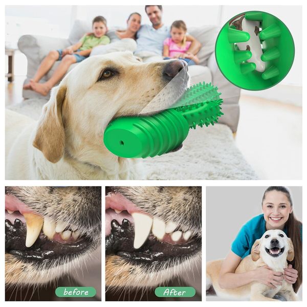 Dog Chew Toys Dog Toothbrush Stick Teeth Cleaning Brush Dental for Medium Large Dog, Puppy Interactive Toys