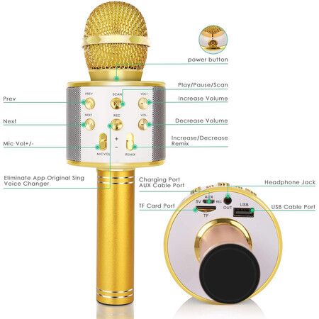 Wireless Bluetooth Kids Karaoke Microphone, 5 in 1 Portable Handheld Microphone with Adjustable Remix FM Radio for Boys Girls Birthday (Golden)