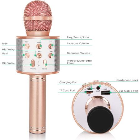 Wireless Bluetooth Kids Karaoke Microphone, 5 in 1 Portable Handheld Microphone with Adjustable Remix FM Radio for Boys Girls Birthday (Rose Gold)