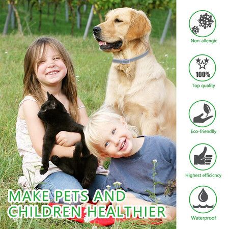 2 Pack Cat Flea and Tick Collar, Give Your Cat The Best Protection 38cm Black