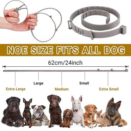 2 Pack Flea Collar for Dogs Natural Flea and Tick Collar for Dogs 8 Month Prevention Puppys Collars 62cm Adjustable Large Collars Grey