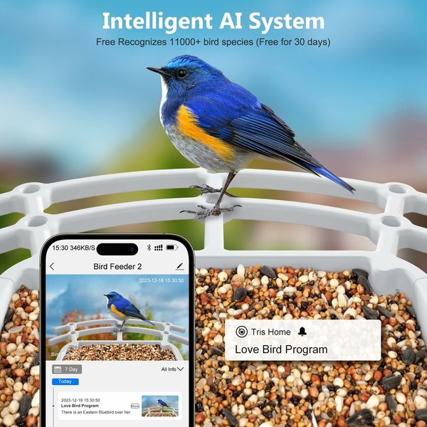 Bird Feeder with Camera Solar Powered,Outdoor Smart Bird Feeder,4 MP HD Auto Capture Bird Videos,Real Time Views and Notifications,Ideal Gift for Bird Lovers (Blue)