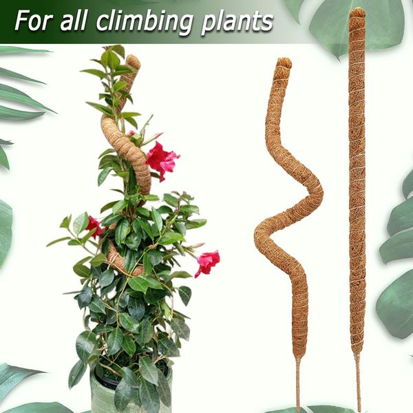 2 Pack Moss Pole,28 Inch Bendable Moss Pole for Plants Monstera,Moss Poles for Climbing Plants Indoor,Coir Plant Pole Sticks Support Stakes for Potted Plants,Pothos,Philodendron