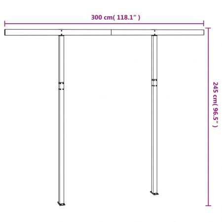 Awning Post Set Anthracite 300x245 cm Iron