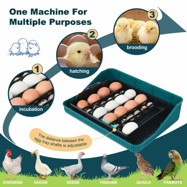 25 Eggs Incubator Chicken Hatcher Turning for Quail Duck Poultry Bird Hatching Automatic Humidity Control Candler