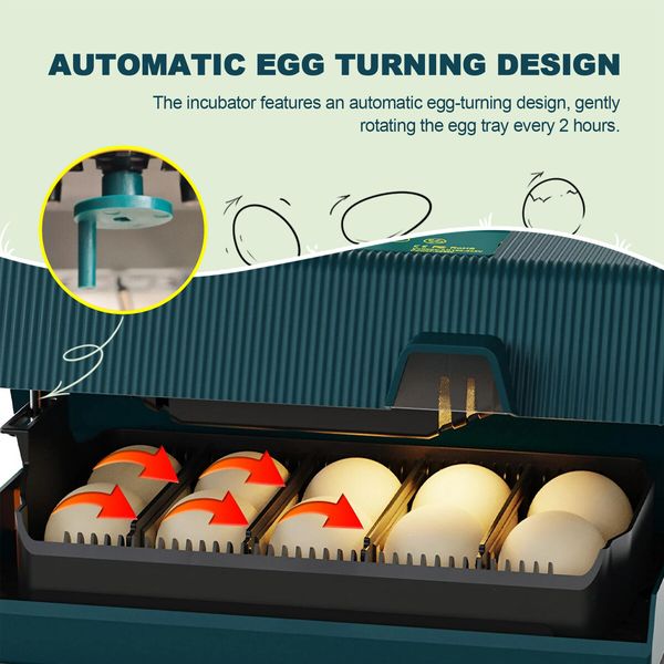 10 Eggs Incubator Chicken Hatcher Turning for Quail Duck Poultry Bird Hatching Automatic Humidity Control Candler