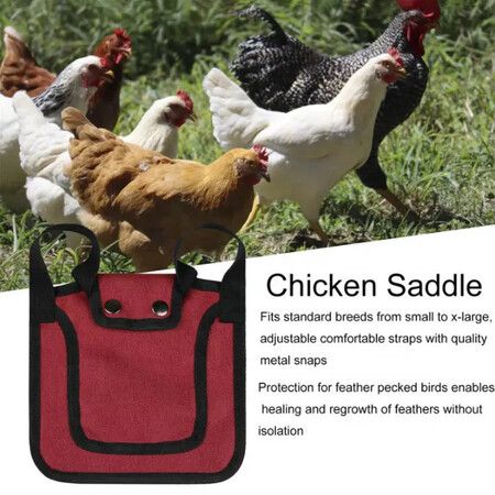 1pc Chicken Saddles Birds Chicken Dress with Adjustable Strap Male Hen Saddle Birds Back Sides Protector for Chicken Birds Color Red