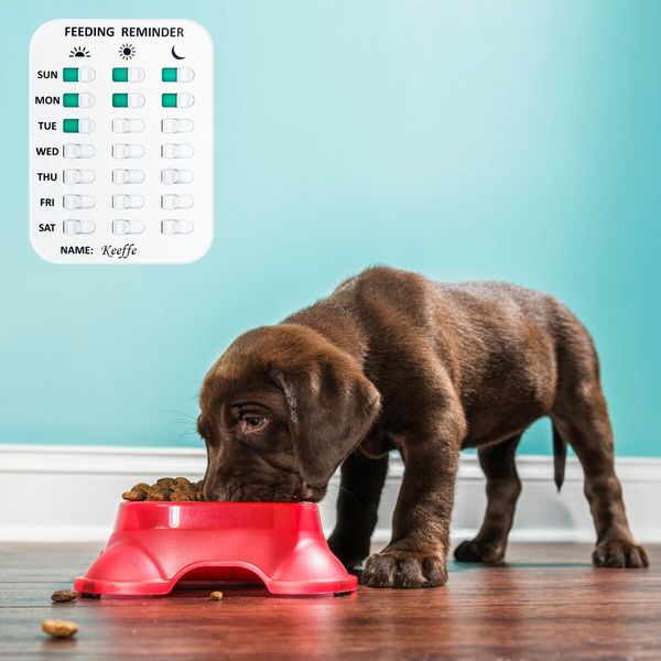 Pet Feeding Reminder Pet Feeding Reminder for Dogs Cats Pet Feed Reminder Magnetic or Double Sided Adhesive Prevent Overfeeding (3 Times)