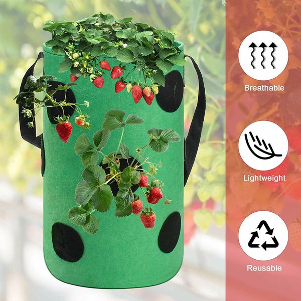 Garden Hanging Strawberry Planting Grow Bag,Upside Down Vegetable Planter with 12 Grow Holes Handle,For Tomato Chili Strawberry Fruit House Garden