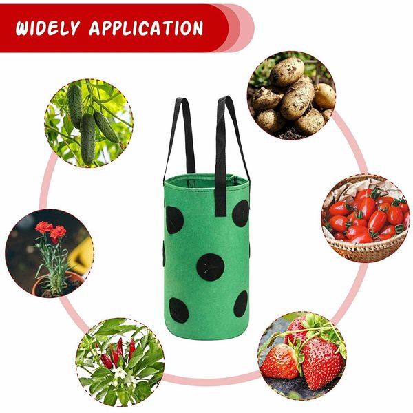 Garden Hanging Strawberry Planting Grow Bag,Upside Down Vegetable Planter with 12 Grow Holes Handle,For Tomato Chili Strawberry Fruit House Garden