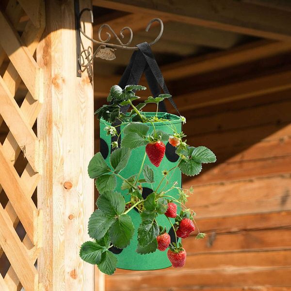 Garden Hanging Strawberry Planting Grow Bag,Upside Down Vegetable Planter with 12 Grow Holes Handle,For Tomato Chili Strawberry Fruit House Garden