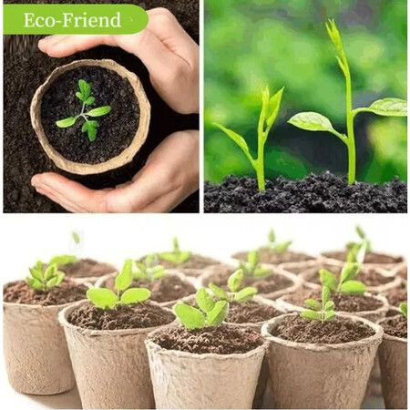 50pcs Pulp Seedling Cup,Degradable Flower Pot,Disposable Thickened Succulent Flower Pot,Seed Pot,Seedling Pot With 50 tags